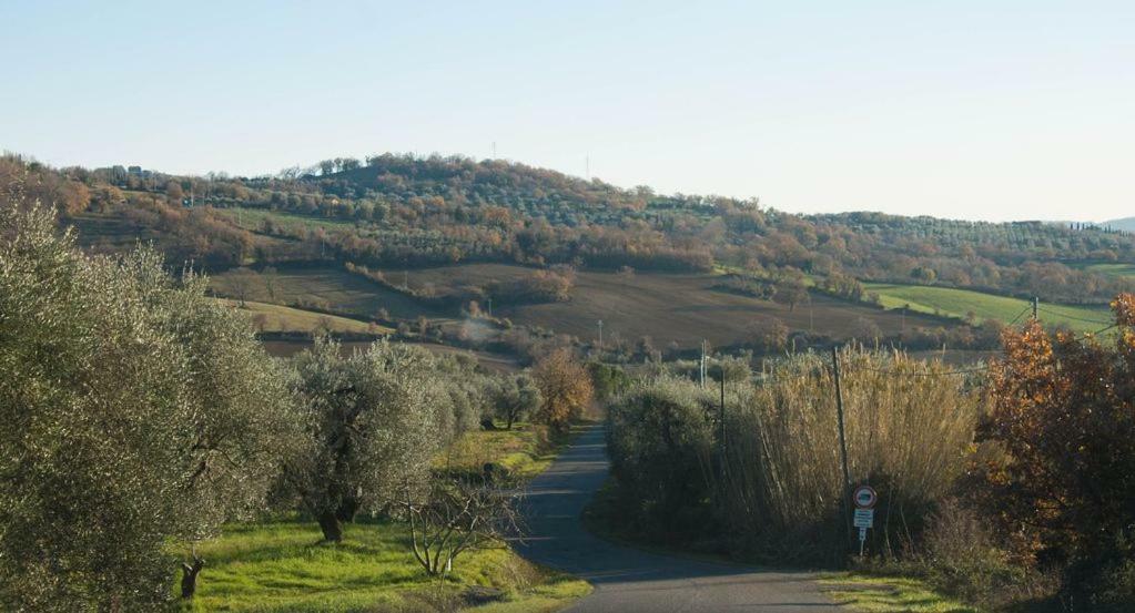 Le Casette Petricci